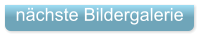 nächste Bildergalerie